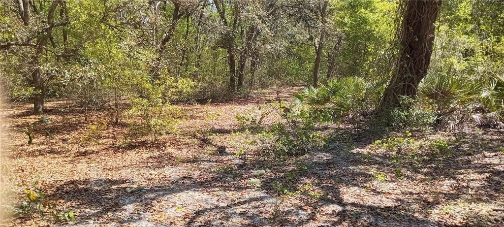 Recently Sold: $45,000 (2.32 acres)