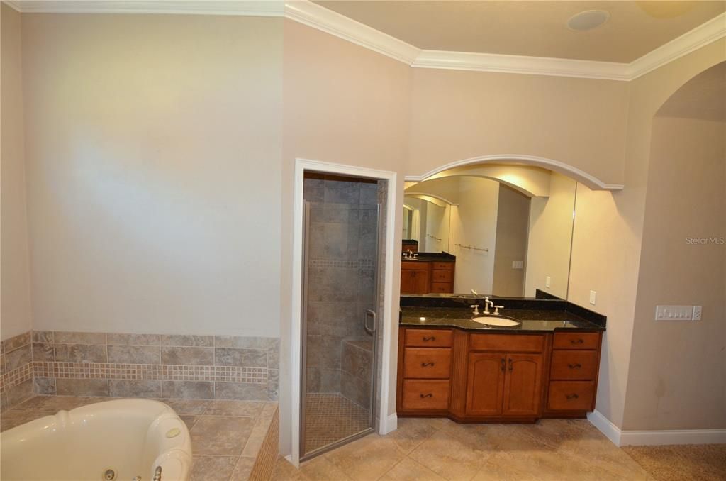 Master Bath Angle 2