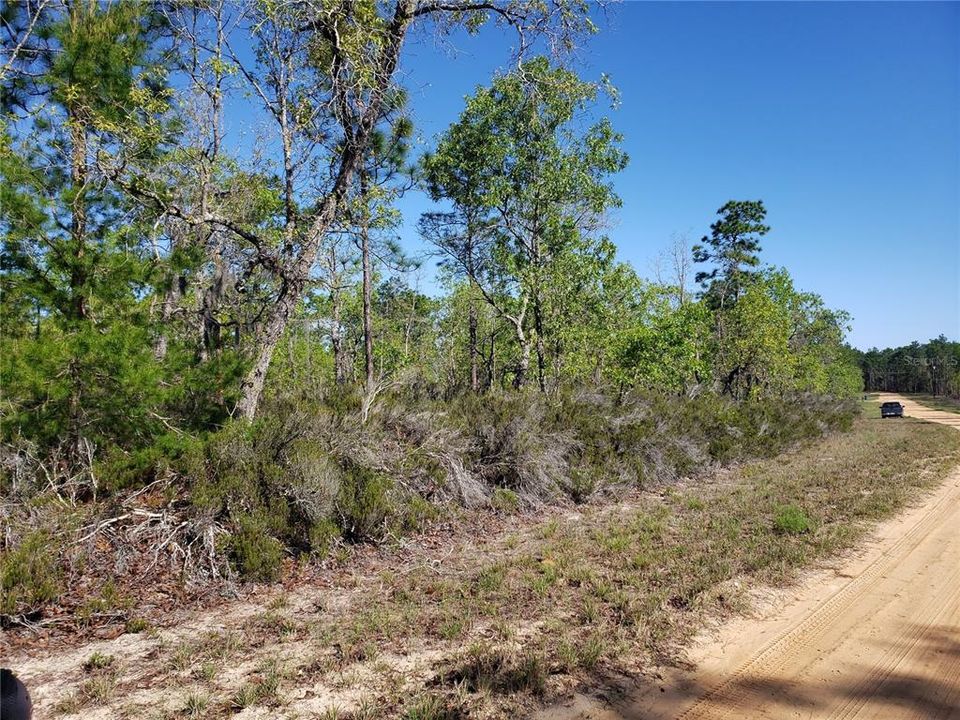 Recently Sold: $50,000 (5.00 acres)