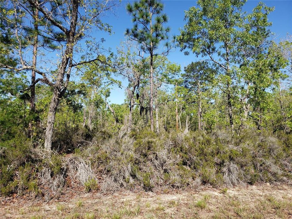 Recently Sold: $50,000 (5.00 acres)