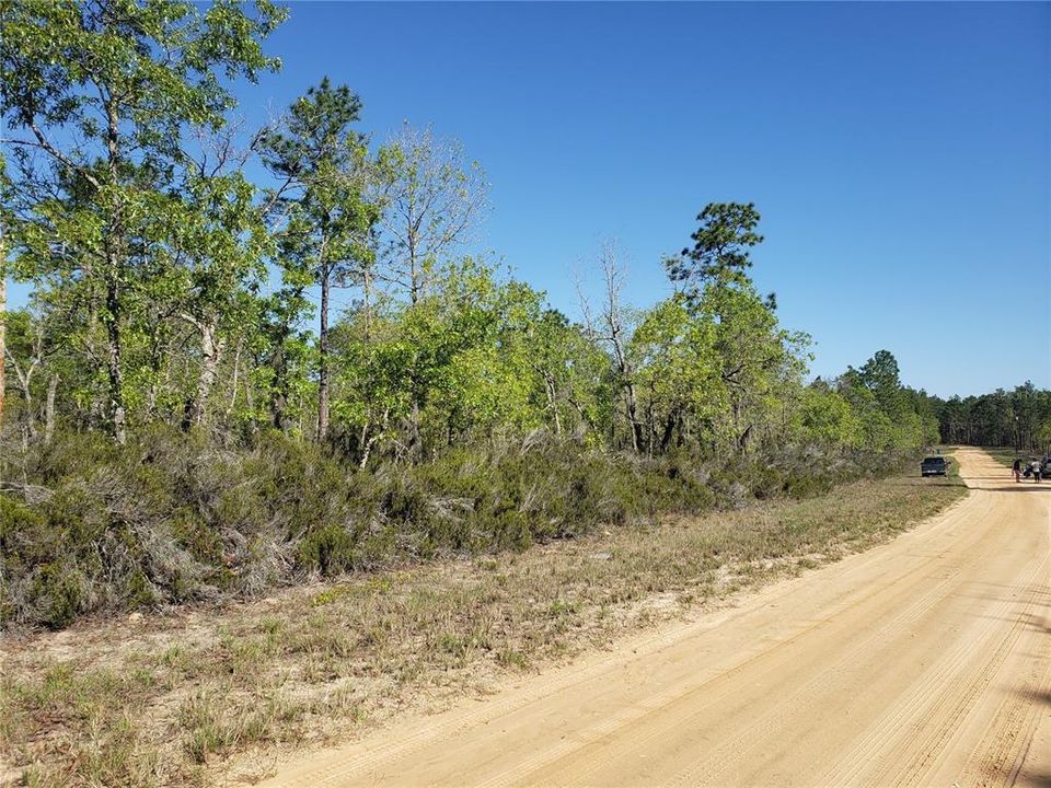 Recently Sold: $50,000 (5.00 acres)