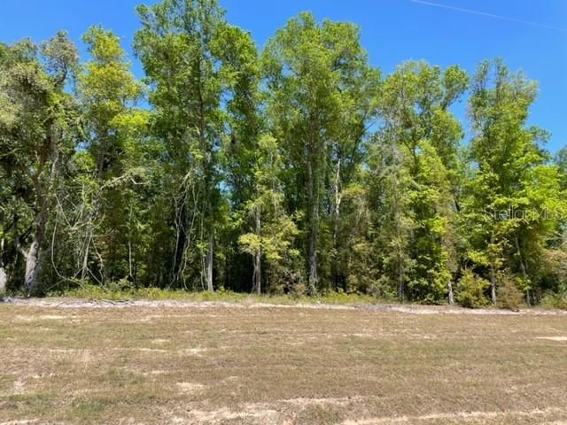 Recently Sold: $19,900 (1.39 acres)