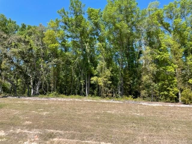 Recently Sold: $19,900 (1.39 acres)