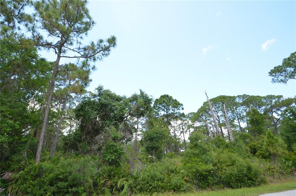 Recently Sold: $25,000 (0.22 acres)