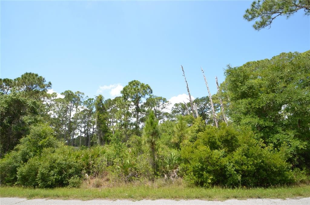Recently Sold: $25,000 (0.22 acres)