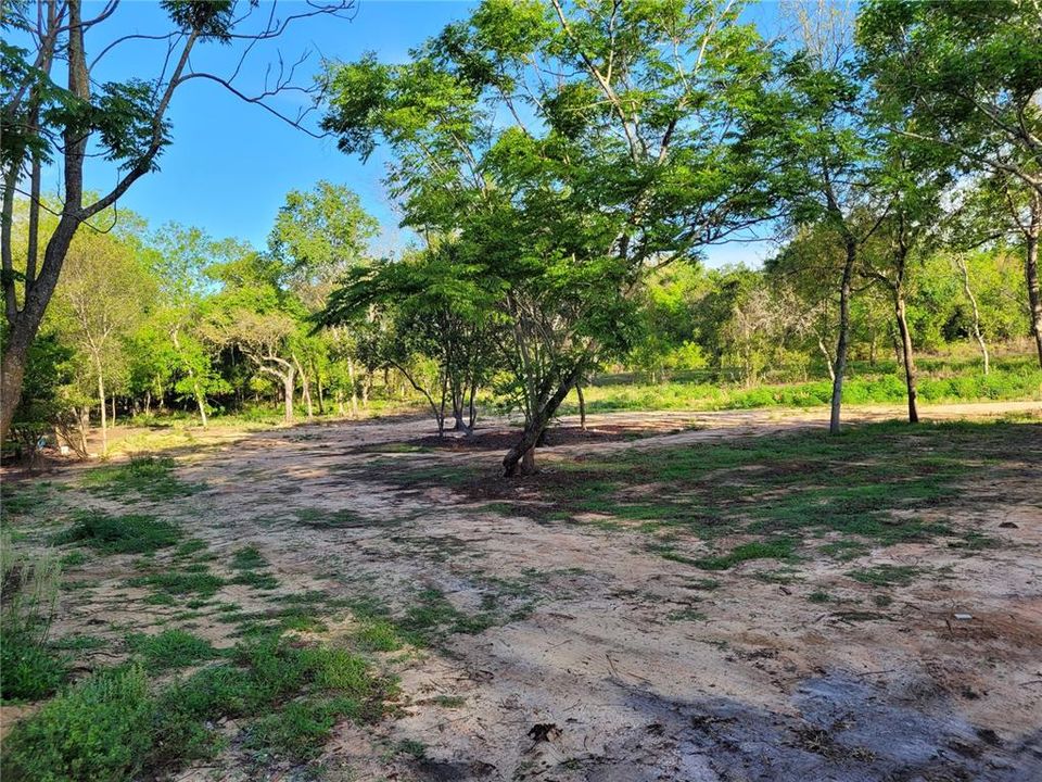 Recently Sold: $170,000 (2.82 acres)