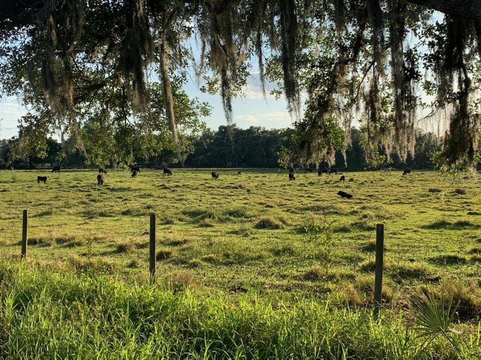 Recently Sold: $125,000 (5.78 acres)