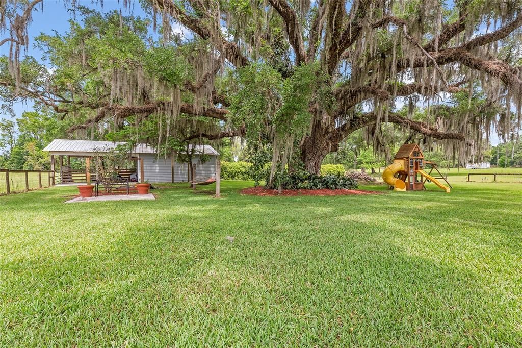 Back Yard/ Horse Stall/ Workshop