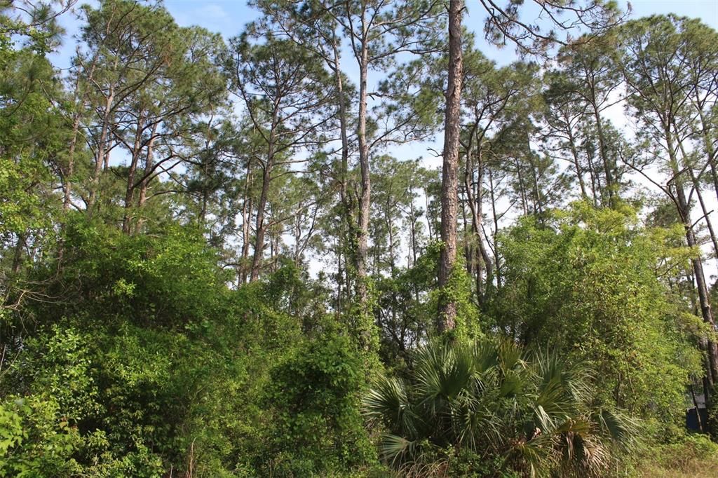 Recently Sold: $33,000 (0.26 acres)