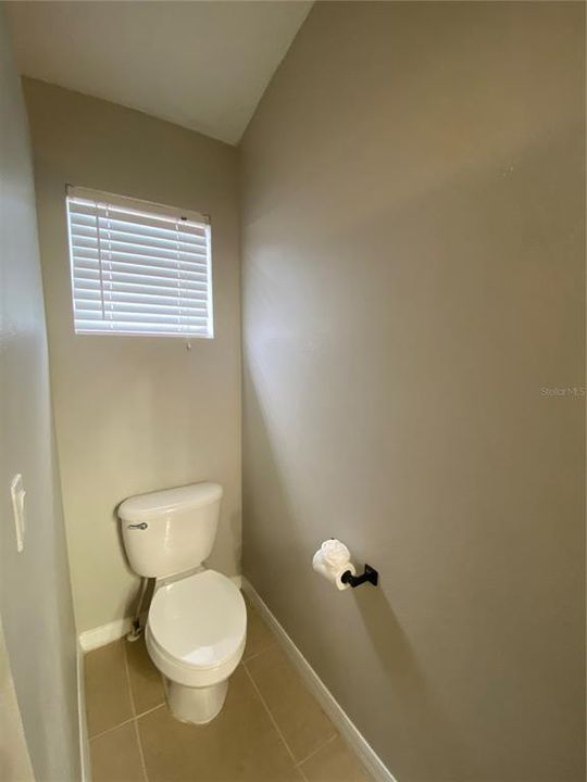 Master Bathroom Toilet