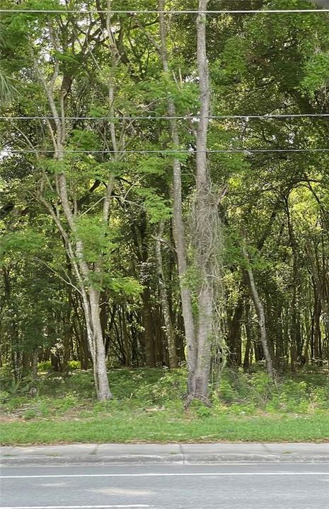 Recently Sold: $250,000 (2.26 acres)