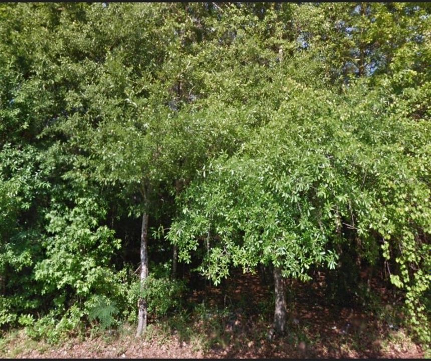 Недавно продано: $84,000 (9.03 acres)