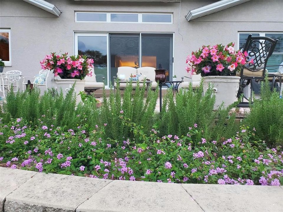 Terraced garden beds are planted with fragrant rosemary shrubs & drought resistant lantana, but you can make your own choices!