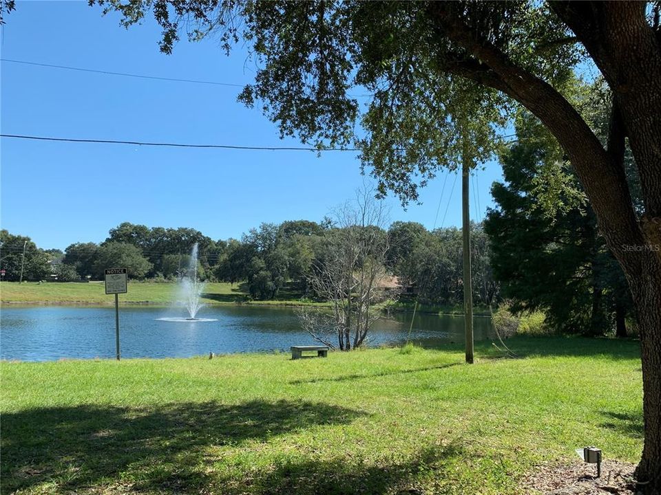 Lake in the park nearby