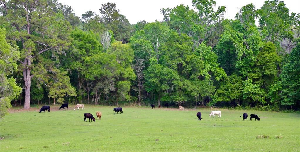 Недавно продано: $475,000 (39.40 acres)