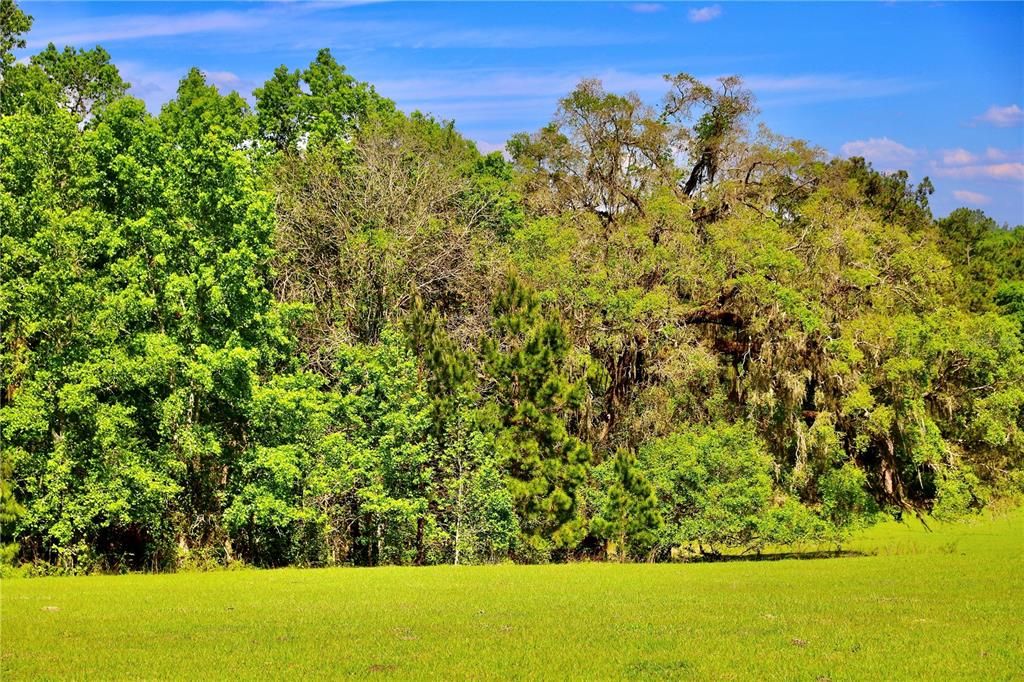 Recently Sold: $475,000 (39.40 acres)