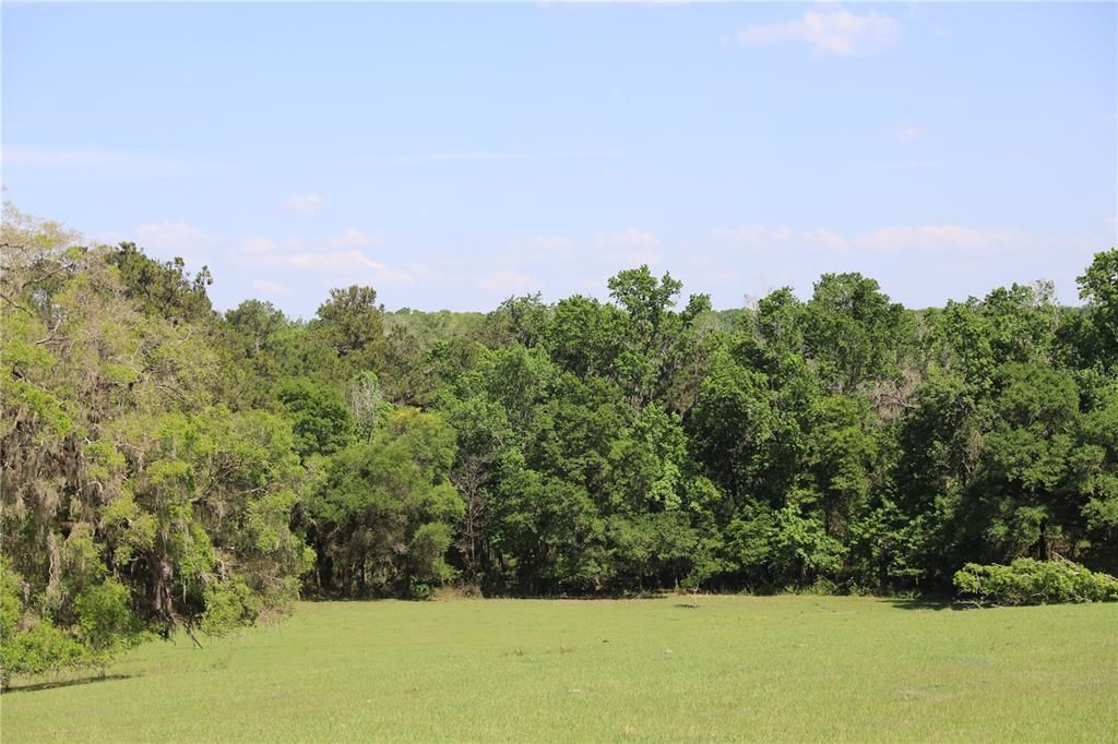 Recently Sold: $475,000 (39.40 acres)