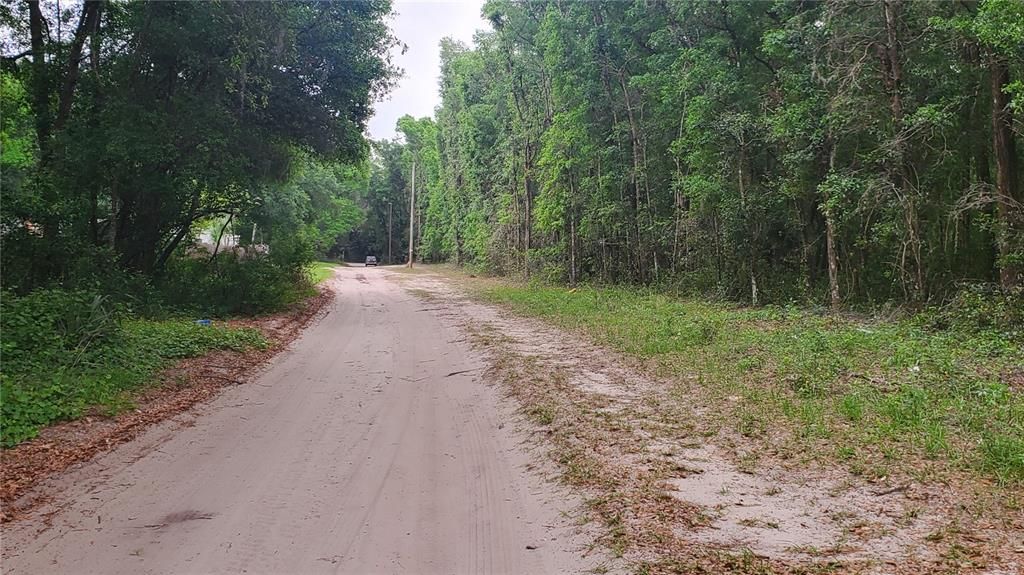 Recently Sold: $8,800 (0.31 acres)