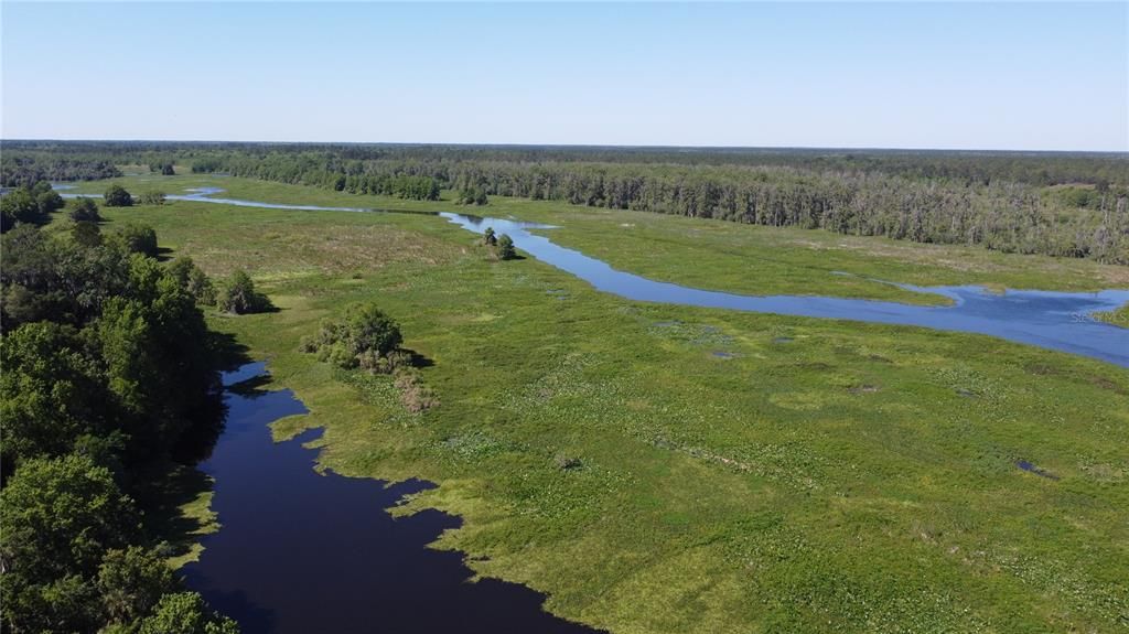 Ocklawaha River