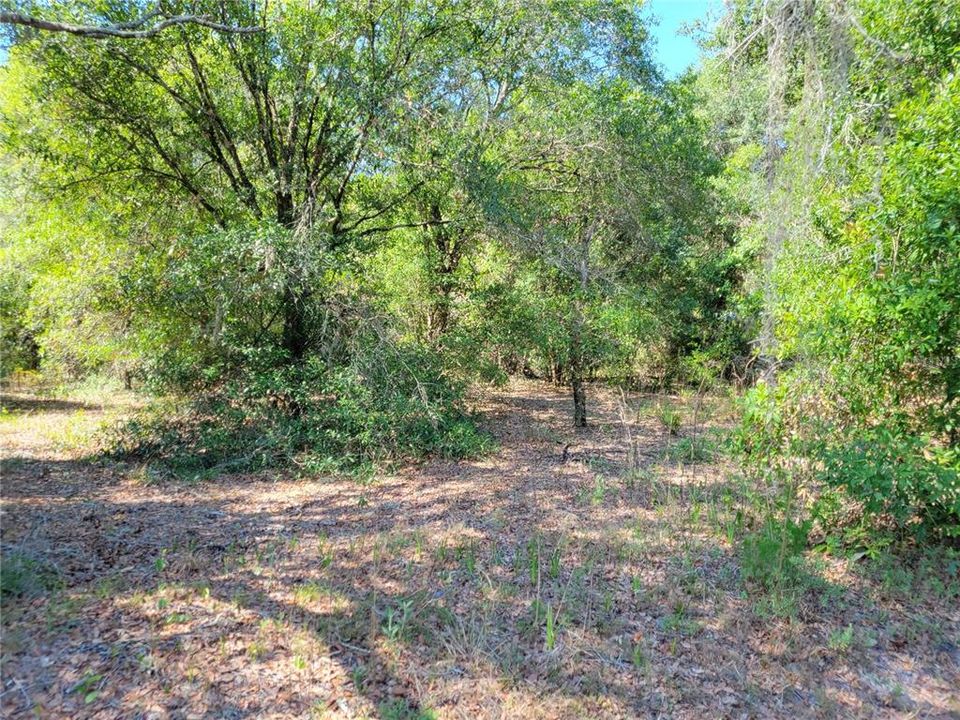 Recently Sold: $92,000 (5.20 acres)