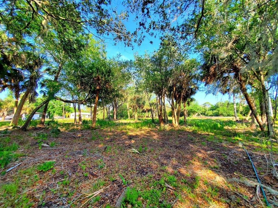 Vendido Recientemente: $59,900 (1.09 acres)