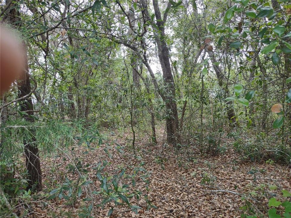Recently Sold: $23,900 (0.37 acres)