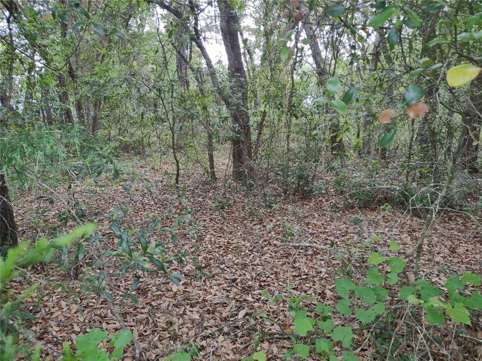 Recently Sold: $23,900 (0.37 acres)