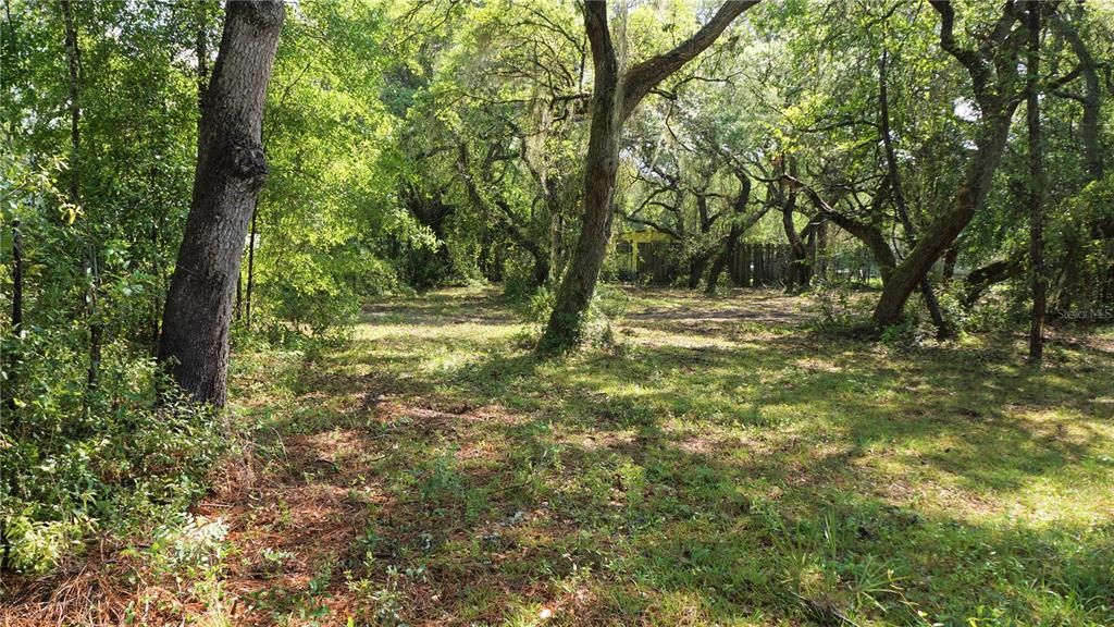 Recently Sold: $20,000 (0.29 acres)
