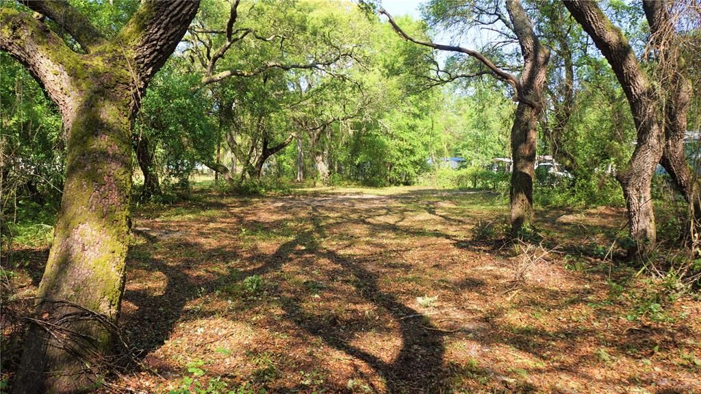 Recently Sold: $20,000 (0.29 acres)