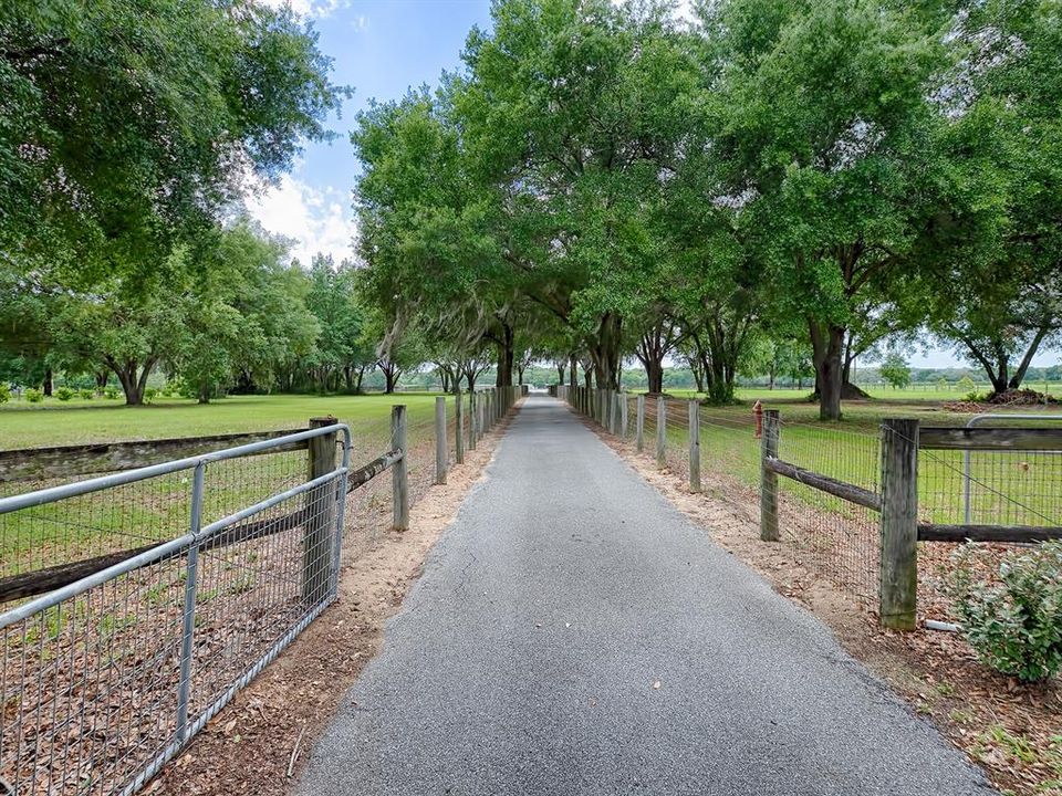 Driveway leading away from the house