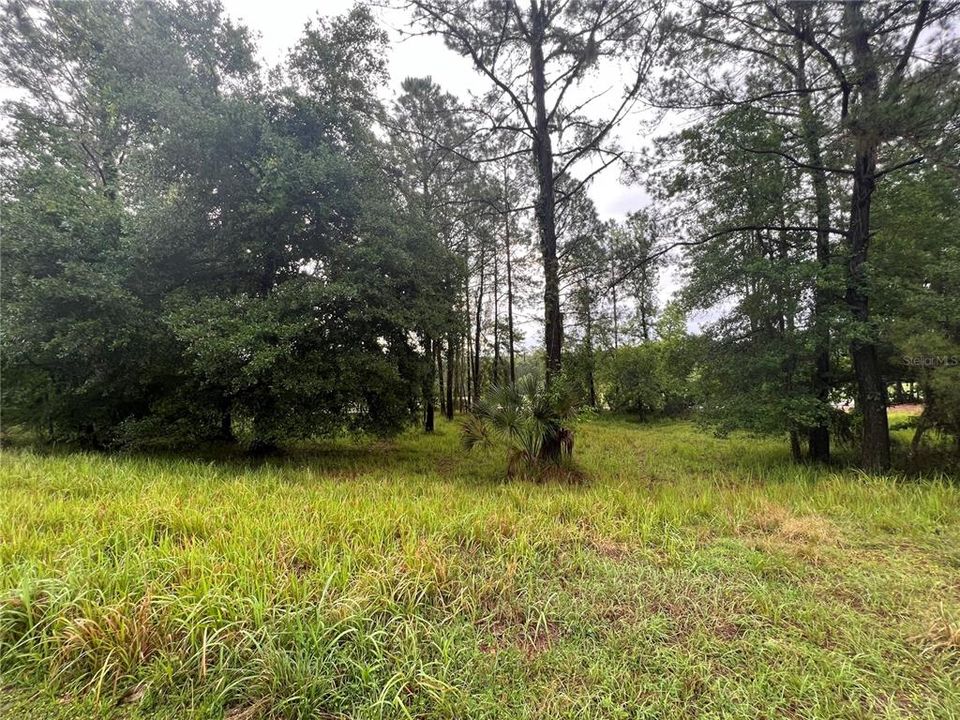 Recently Sold: $85,000 (0.56 acres)