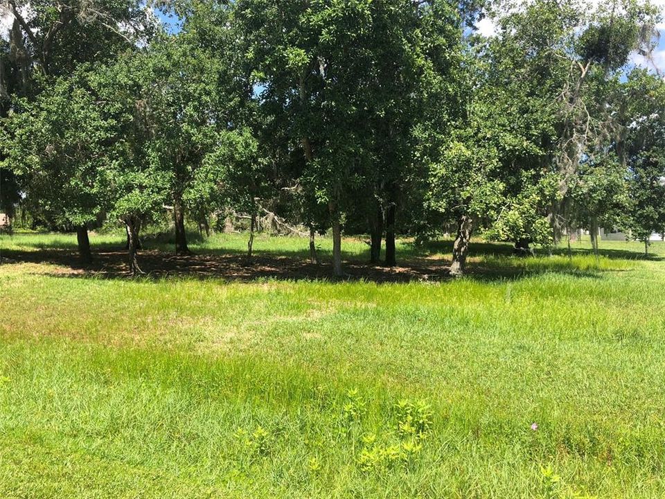 Recently Sold: $47,000 (1.00 acres)