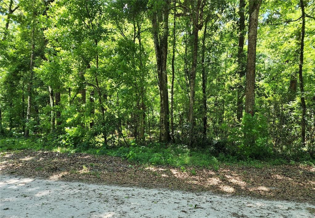 Recently Sold: $50,000 (1.74 acres)
