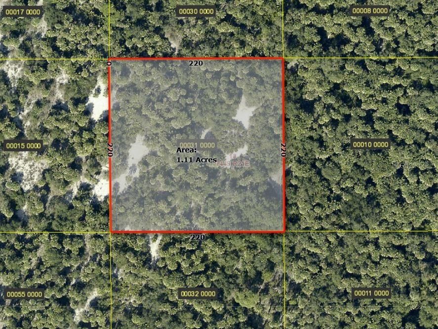 待售: $255,000 (1.10 acres)