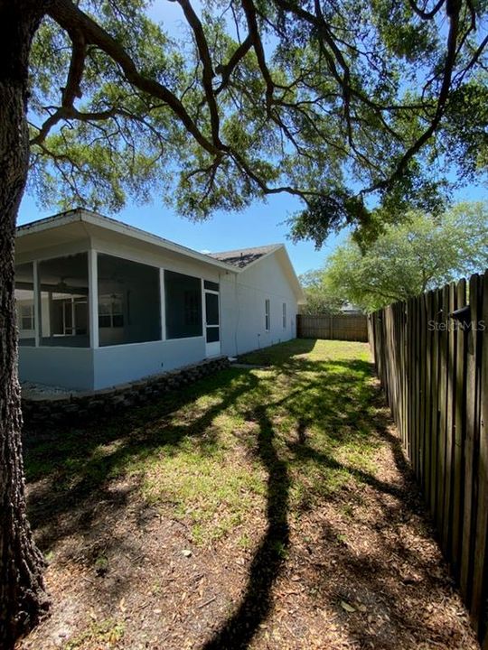 Side Yard with Large Oak Tree