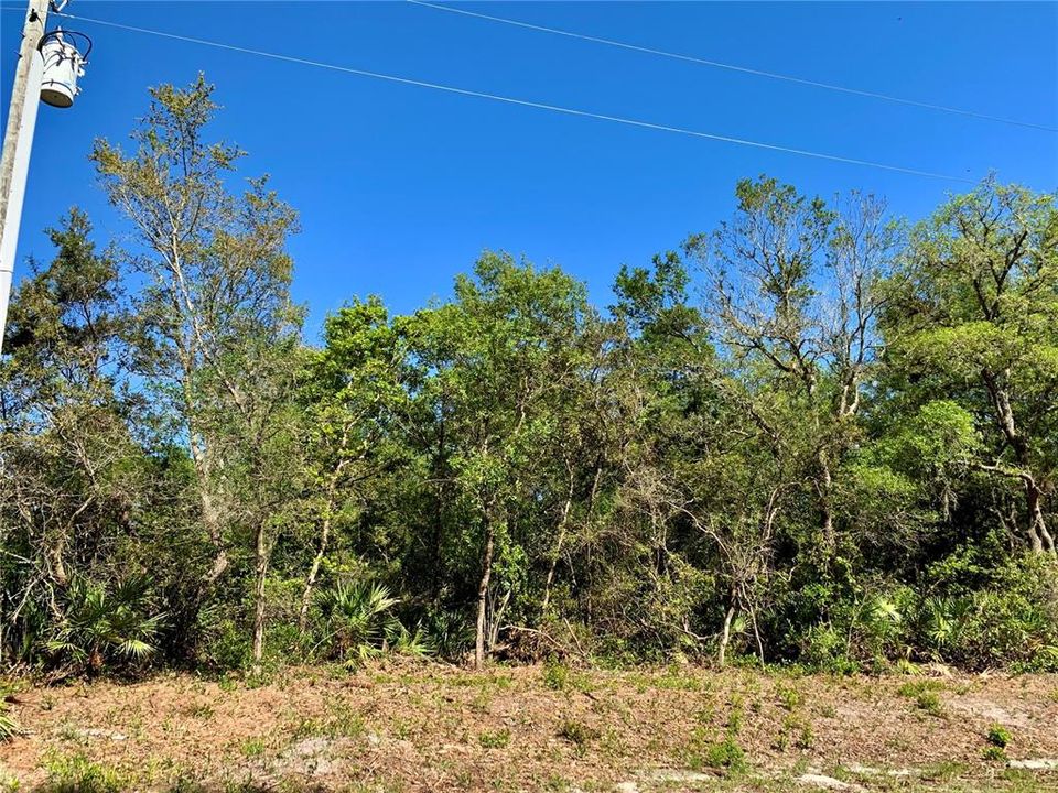 Recently Sold: $57,500 (1.00 acres)