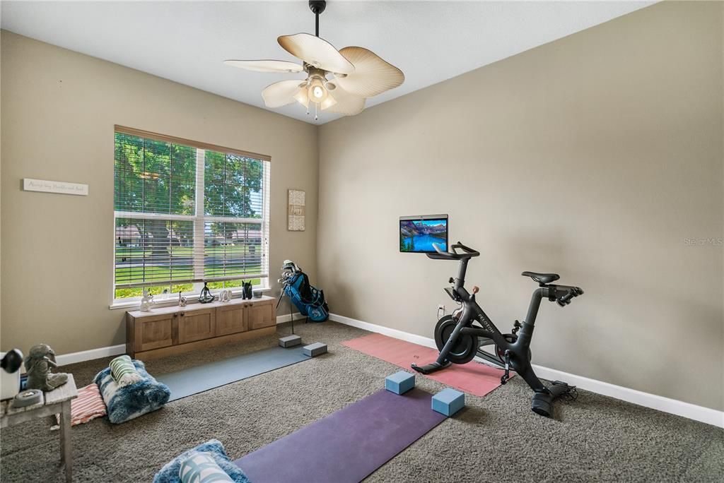 Exercise room, living or home office