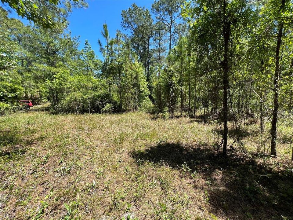 Recently Sold: $200,000 (30.28 acres)