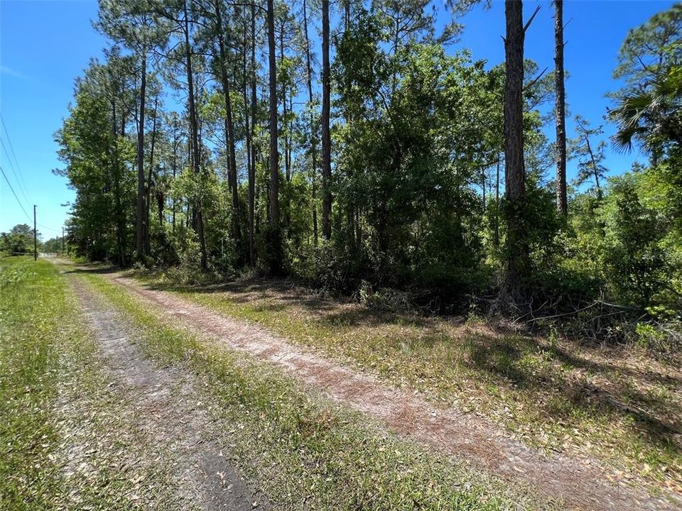 Recently Sold: $200,000 (30.28 acres)
