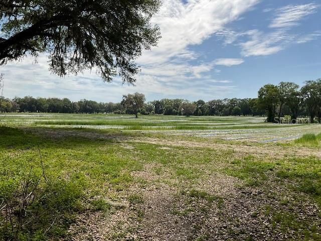 Recently Sold: $762,942 (97.19 acres)