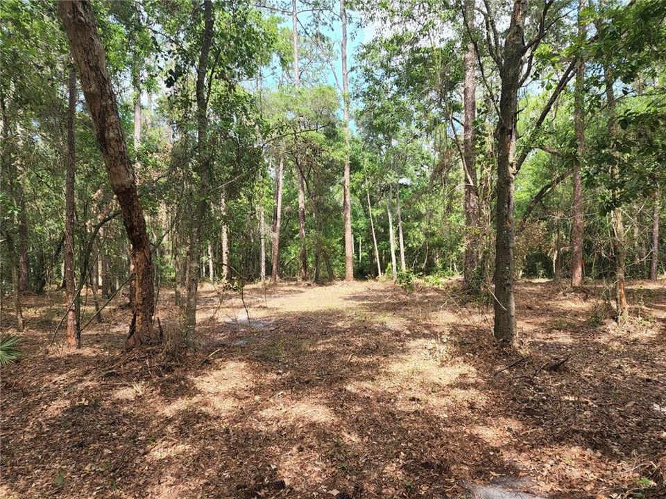 Recently Sold: $45,000 (1.18 acres)