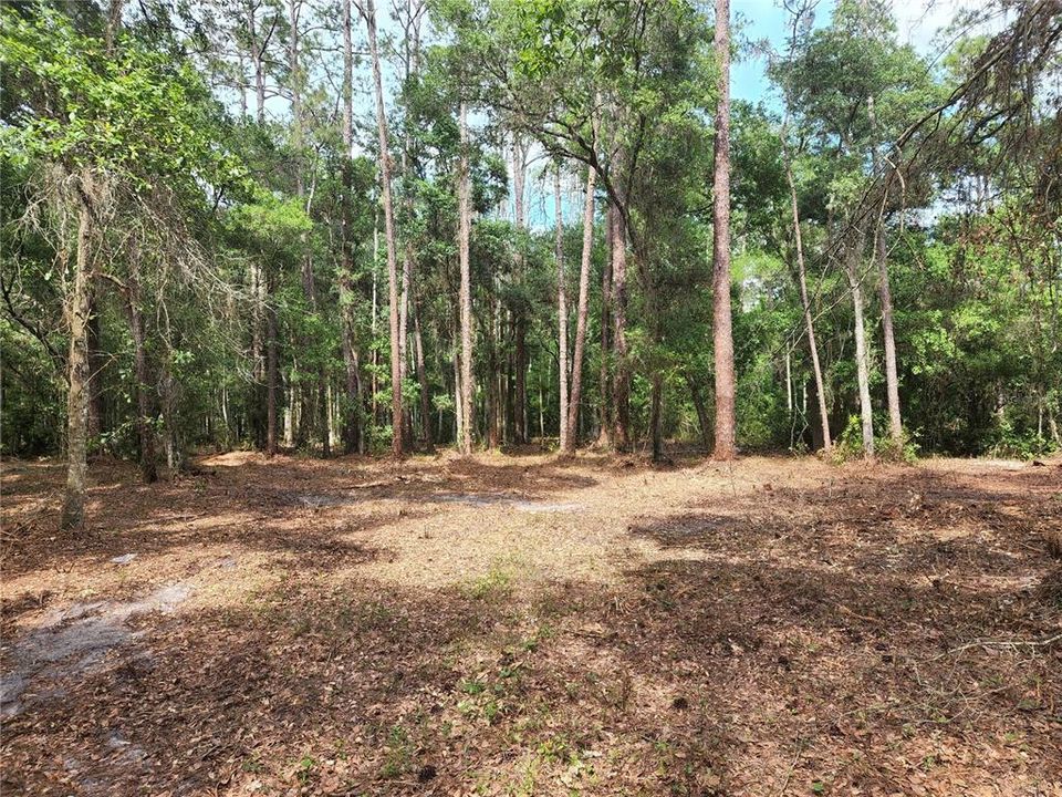 Vendido Recientemente: $45,000 (1.18 acres)