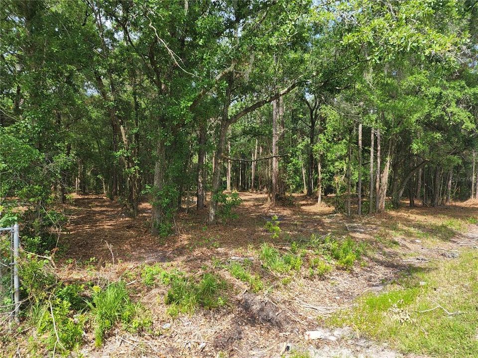 Recently Sold: $45,000 (1.18 acres)