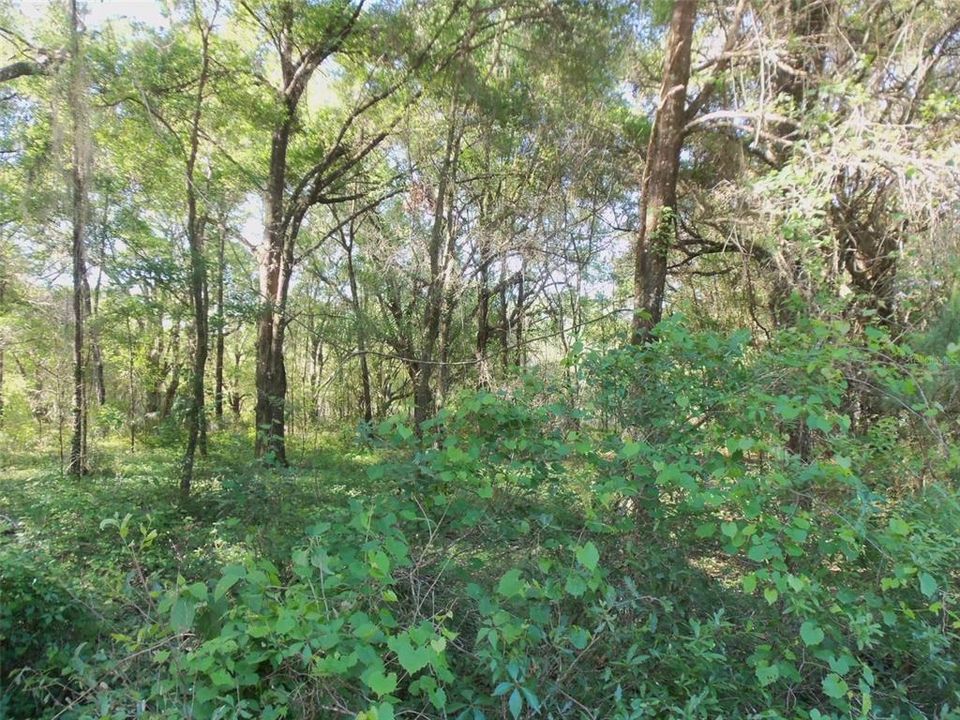 Recently Sold: $12,000 (0.20 acres)