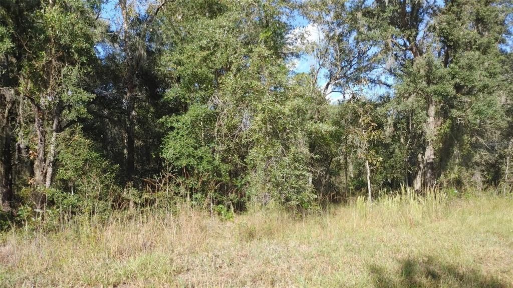 Recently Sold: $20,000 (0.46 acres)