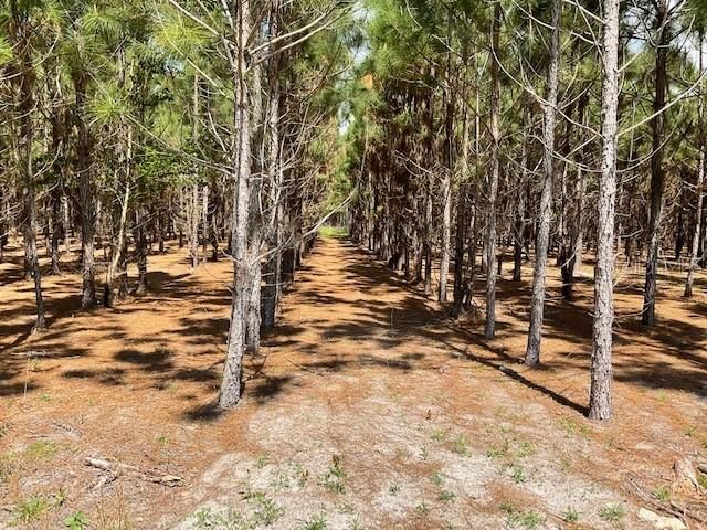 Recently Sold: $596,819 (86.81 acres)
