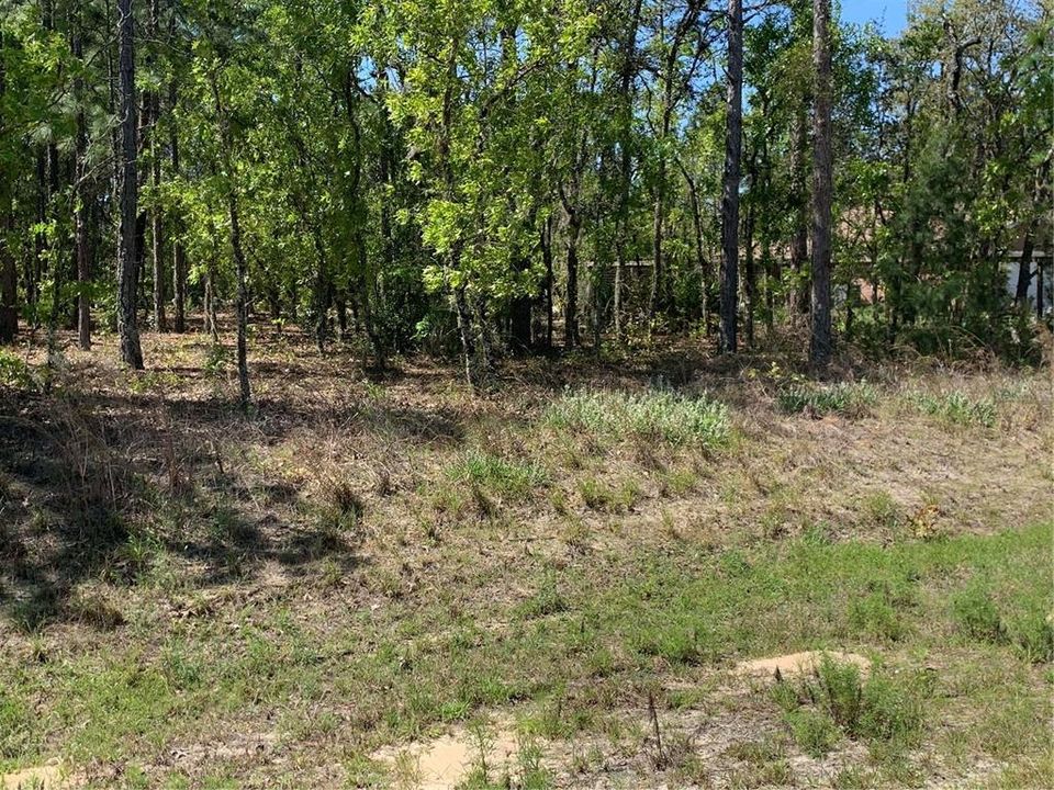 Recently Sold: $40,000 (1.10 acres)