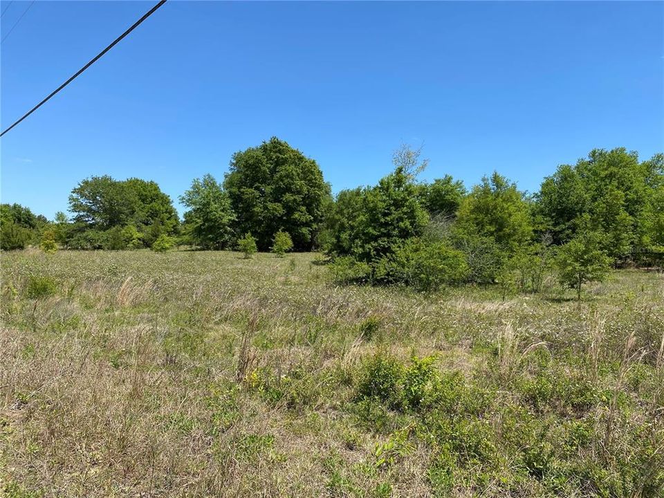 Recently Sold: $15,000 (1.13 acres)