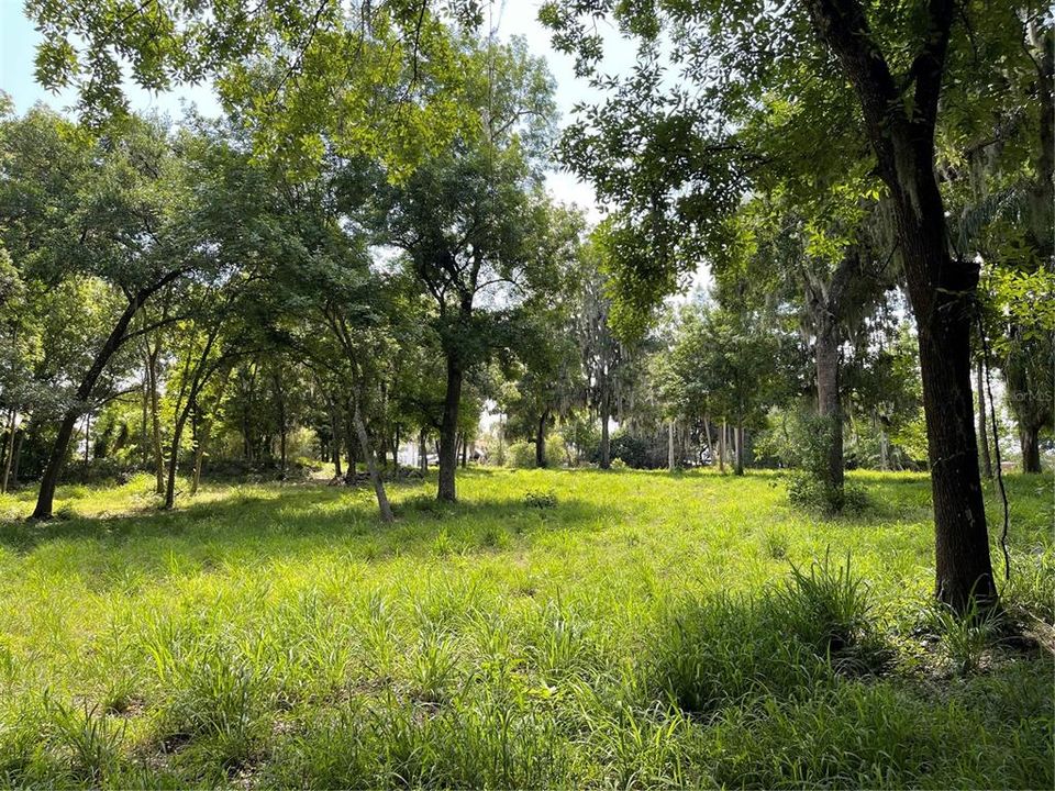 Недавно продано: $95,000 (1.10 acres)