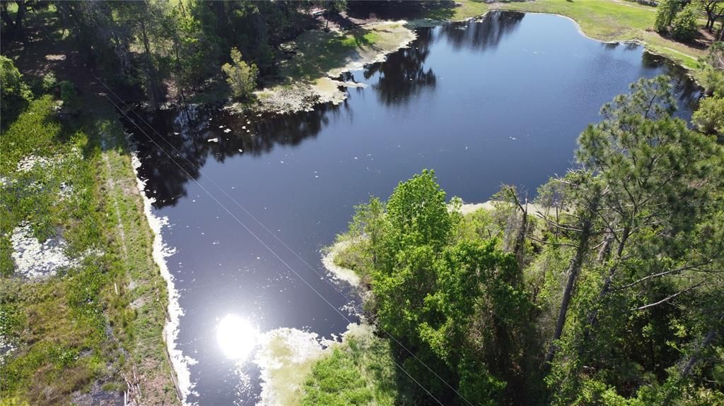 POND ON PROPERTY